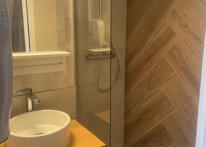 Au Pied Des Pistes Apartment *